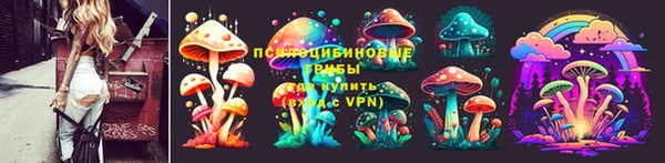 Альфа ПВП Богородицк